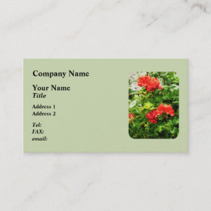Cartão De Visita Bright Red Geraniums