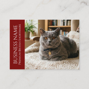 Cartão De Visita British Shorthair Minimalista Personalizável
