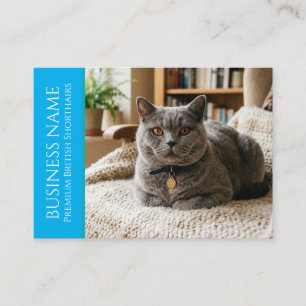Cartão De Visita British Shorthair Minimalista Personalizável