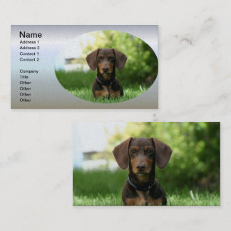 Cartão De Visita Brown Dachshund Puppy