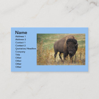 Cartão De Visita Búfalo Animal Art India Office Business