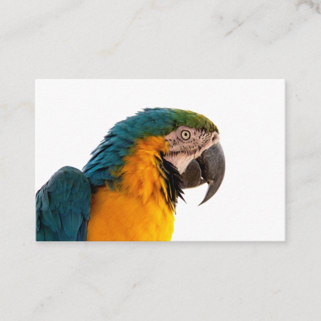 Cartão De Visita Business Card (Frente)