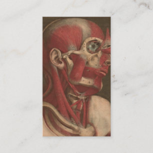 Cartão De Visita Cabeça, pescoço, e ombros da anatomia do vinta