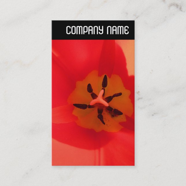 Cartão De Visita Cabeçalho V - Dentro a Tulip (Frente)