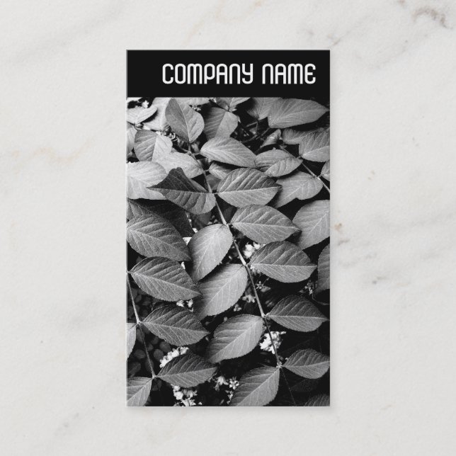 Cartão De Visita Cabeçalho V - Folhas (Frente)