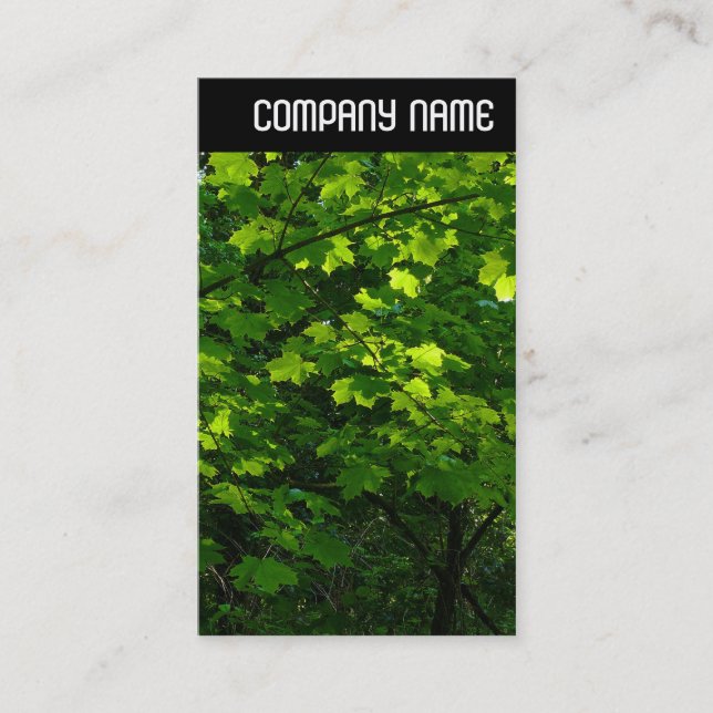 Cartão De Visita Cabeçalho V - Folhas no Primavera (Frente)