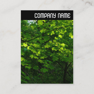 Cartão De Visita Cabeçalho V - Folhas no Primavera