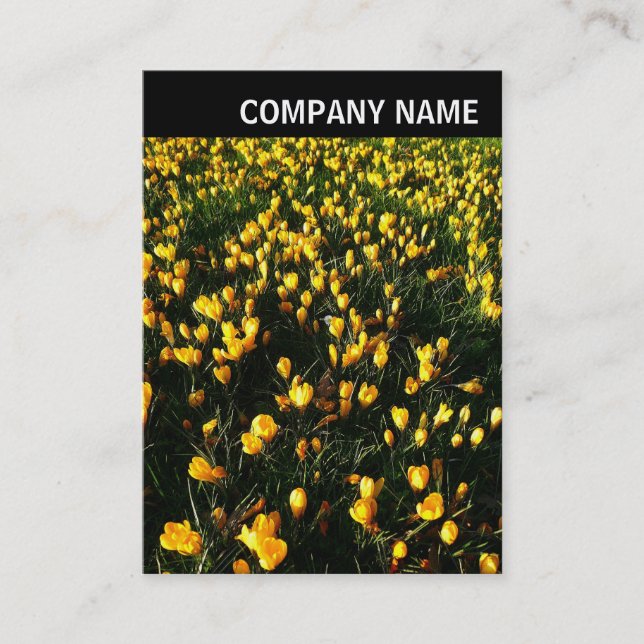Cartão De Visita Cabeçalho V - Foto - Crocuses (Frente)