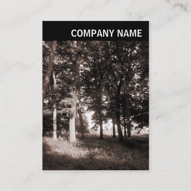 Cartão De Visita Cabeçalho V - Foto - Paisagem de Parque (Frente)