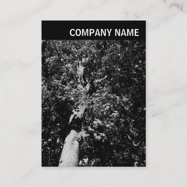 Cartão De Visita Cabeçalho V - Imagem - Árvore Plana (Frente)