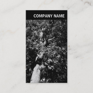 Cartão De Visita Cabeçalho V - Imagem - Árvore Plana