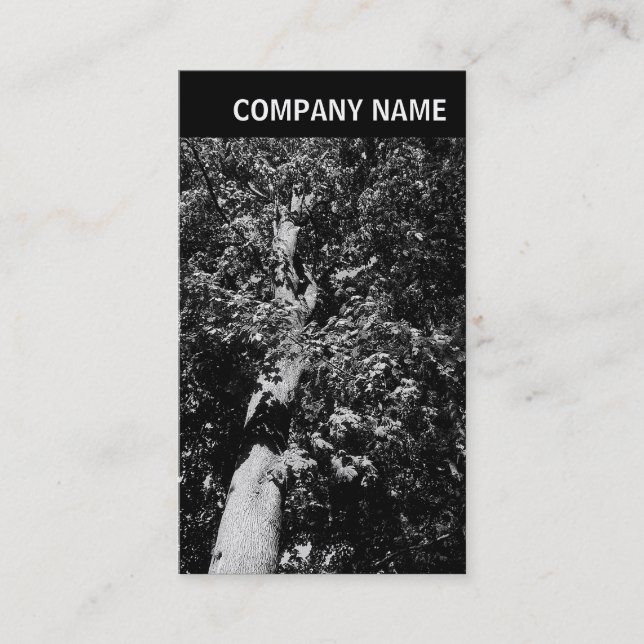 Cartão De Visita Cabeçalho V - Imagem - Árvore Plana (Frente)