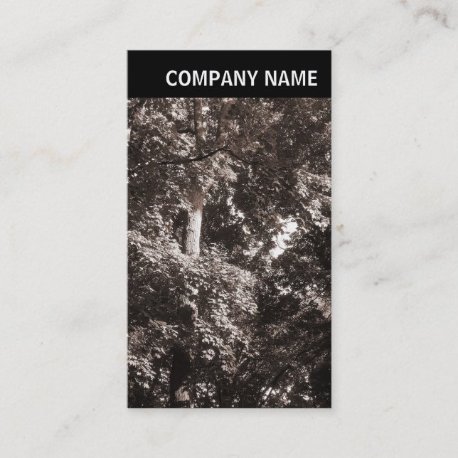 Cartão De Visita Cabeçalho V - Imagem - Árvores Planas (Frente)