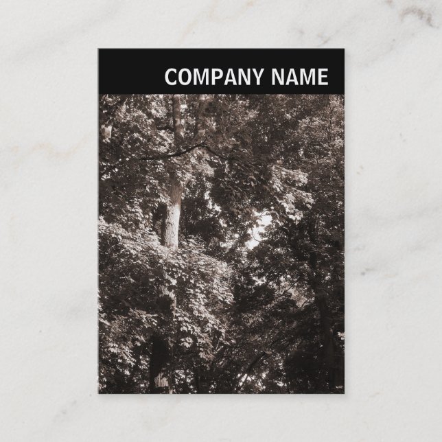 Cartão De Visita Cabeçalho V - Imagem - Árvores Planas (Frente)