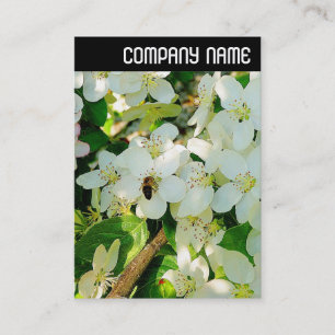 Cartão De Visita Cabeçalho V - Mel de Fazer