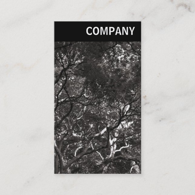 Cartão De Visita Cabeçalho V - Ramificações Japonesas 01 (Frente)