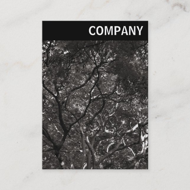 Cartão De Visita Cabeçalho V - Ramificações Japonesas 01 (Frente)