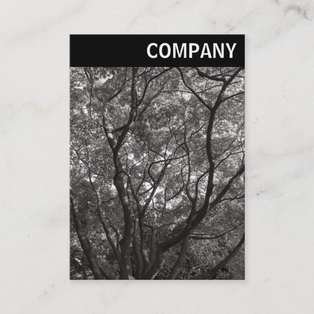 Cartão De Visita Cabeçalho V - Ramificações Japonesas 02 (Frente)