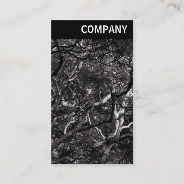 Cartão De Visita Cabeçalho V - Ramificações Japonesas 03 (Frente)