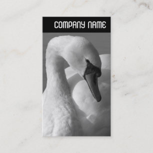 Cartão De Visita Cabeçalho V - Swan B&W