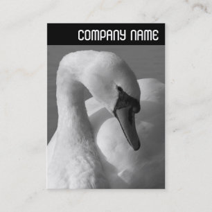 Cartão De Visita Cabeçalho V - Swan B&W