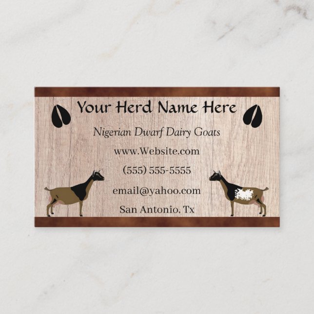 Cartão De Visita Cabra leiteira nigeriana (Frente)