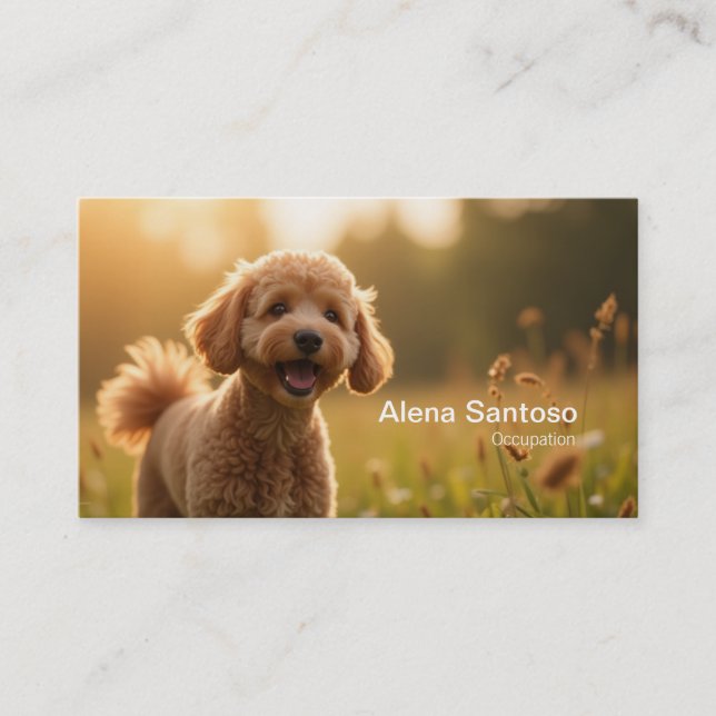 Cartão De Visita Cachorro (Frente)