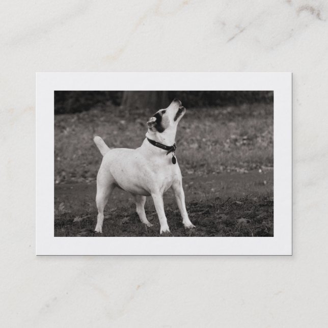 Cartão De Visita Cachorro (Bordado) (Frente)