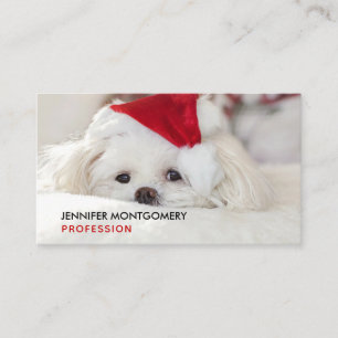 Cartão De Visita Cachorro Branco giro em chapéu vermelho de Natal