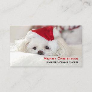 Cartão De Visita Cachorro Branco giro em chapéu vermelho de Natal