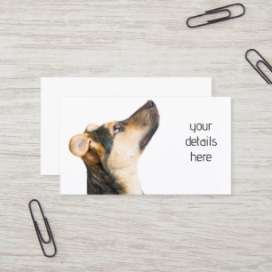 Cartão De Visita Cachorro engraçado