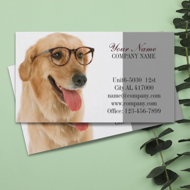 Cartão De Visita Cachorro-gato-de-estimação, pastor de animais (Cute dog cat pet sitter animal sitter pet groomer business card)
