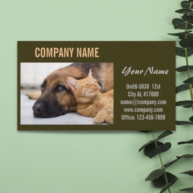 Cartão De Visita Cachorro-gato-de-estimação, pastor de animais (Cute dog cat pet sitter animal sitter pet groomer business card)
