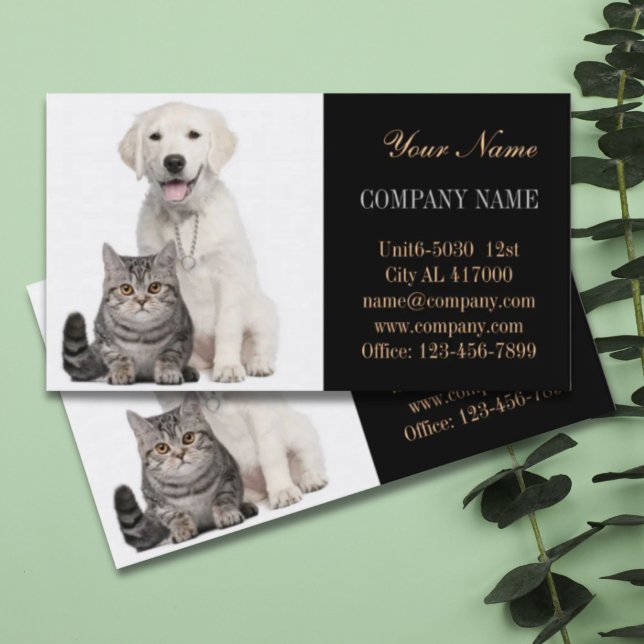 Cartão De Visita Cachorro-gato-de-estimação, pastor de animais (Cute dog cat pet sitter animal sitter pet groomer business card)