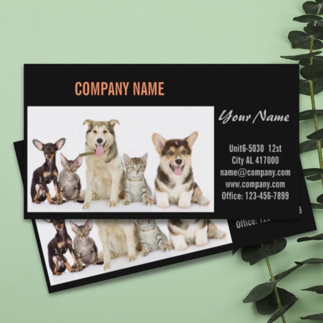 Cartão De Visita Cachorro-gato-de-estimação, pastor de animais (Cute dog cat pet sitter animal sitter pet groomer business card)