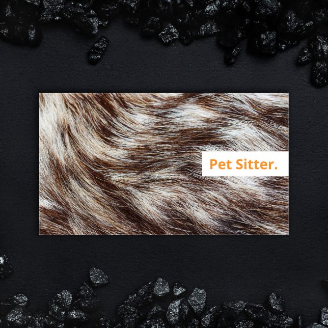 Cartão De Visita Cachorro Laranja Moderno Que Cultiva Animais (Bold colorful orange Dog Grooming Business Card, Animal Care Services, Pet Sitting trendy modern.)