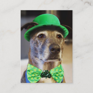 Cartão De Visita Cachorro Sortudo