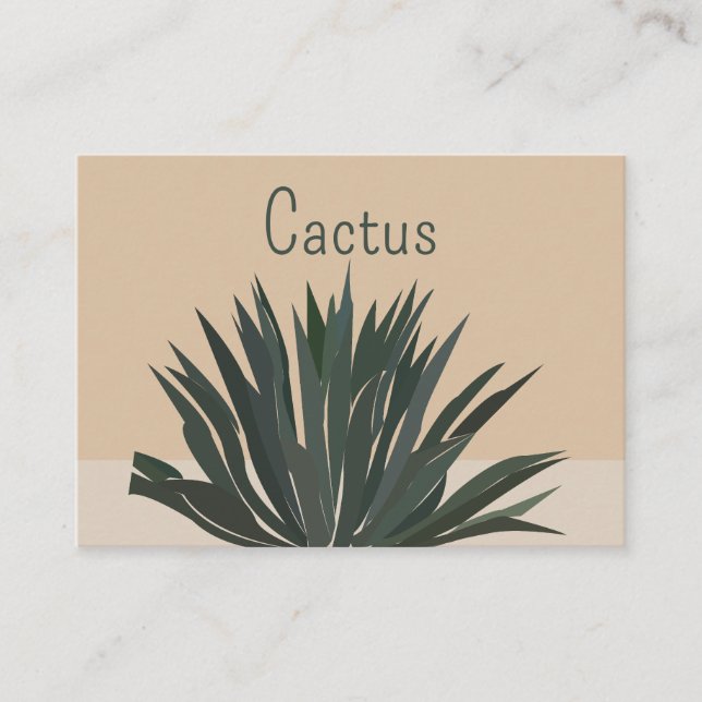 Cartão De Visita Cacto Cactos Suculenta  (Frente)