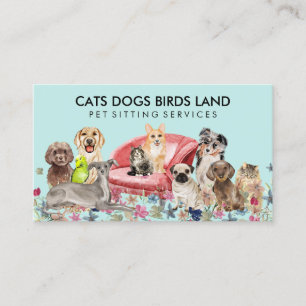Cartão De Visita Cães Azul-turquesa Gato Hotel Sofá Pet Sitting Tos