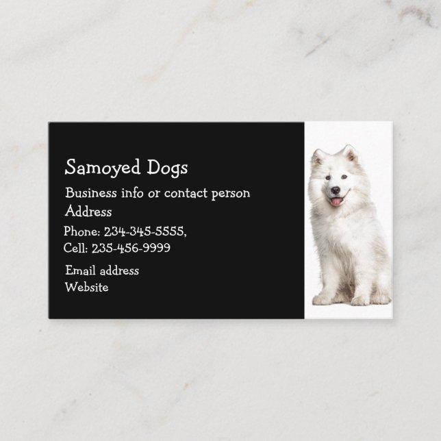 Cartão De Visita Cães Samoyed Criador Pet Sitter (Frente)