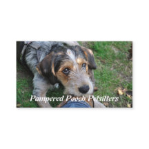 Caminho do cão que petsitting