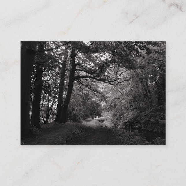 Cartão De Visita Canal, Bute Park, Cardiff (Frente)