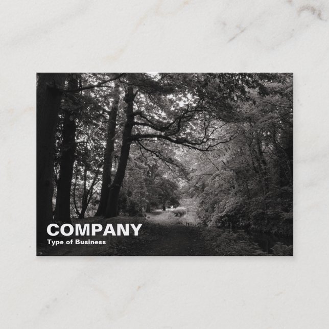 Cartão De Visita Canal, Bute Park, Cardiff (Frente)