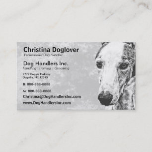Cartão De Visita Cão adorável de Whippet