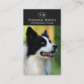Cartão De Visita Cão Border Collie Preto e Branco