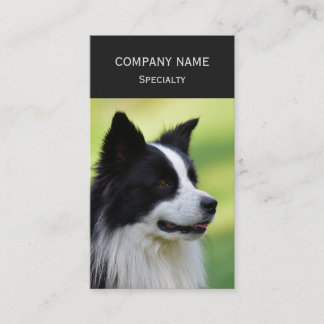 Cartão De Visita Cão Border Collie Preto e Branco