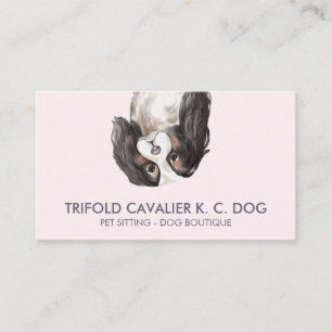 Cartão De Visita Cão cavalier king charles trifólio