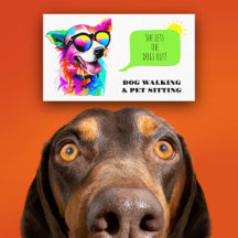 Cão Cuidador de Cães Arco-Íris Negrito Pet Sitter