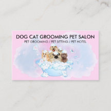 Cão Gato-de-gato-do-mato-de-estimação-cor-de-rosa-