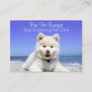 Cartão De Visita Cão Groomer Pet Care Puppy Walker